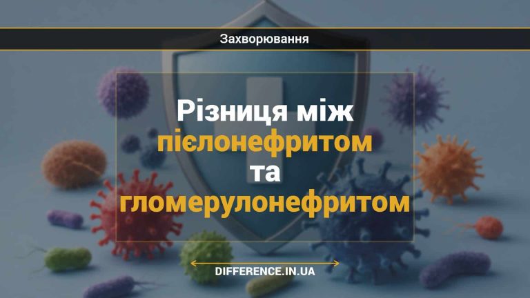 Різниця між пієлонефритом та гломерулонефритом