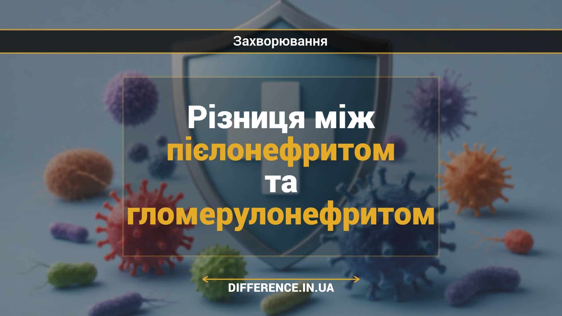 Різниця між пієлонефритом та гломерулонефритом