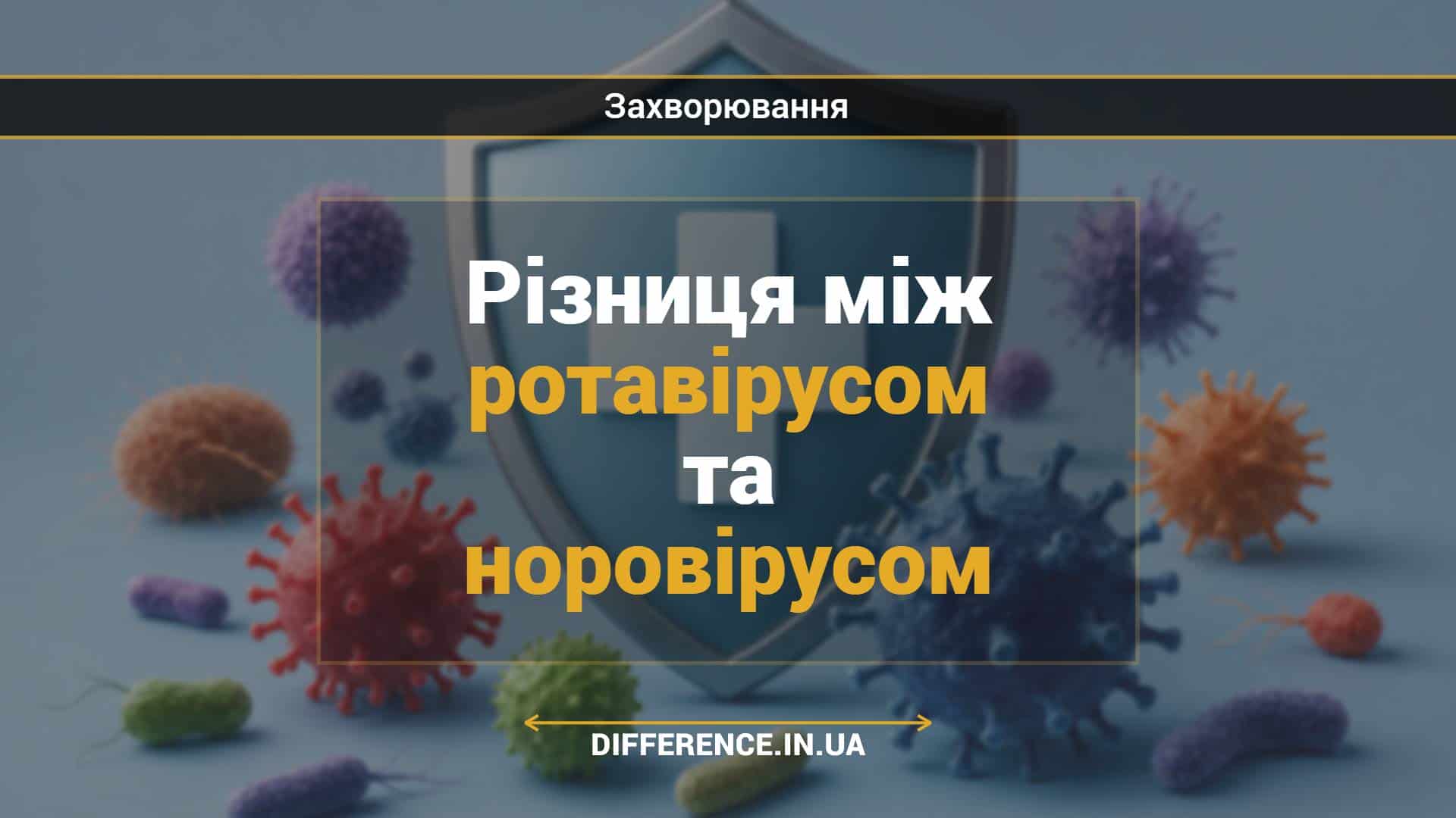 Різниця між ротавірусом та норовірусом