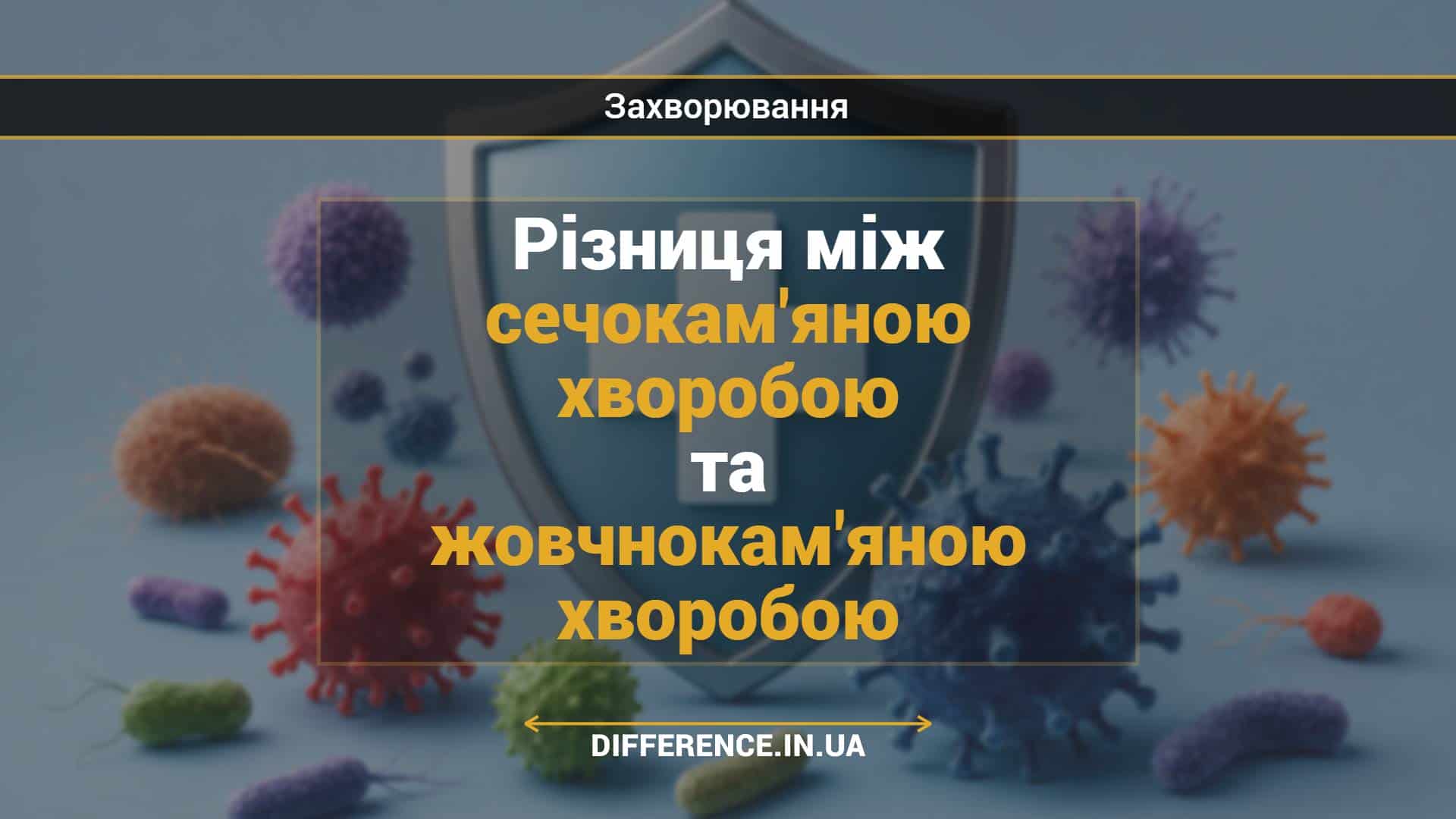 Різниця між сечокам'яною хворобою та жовчнокам'яною хворобою