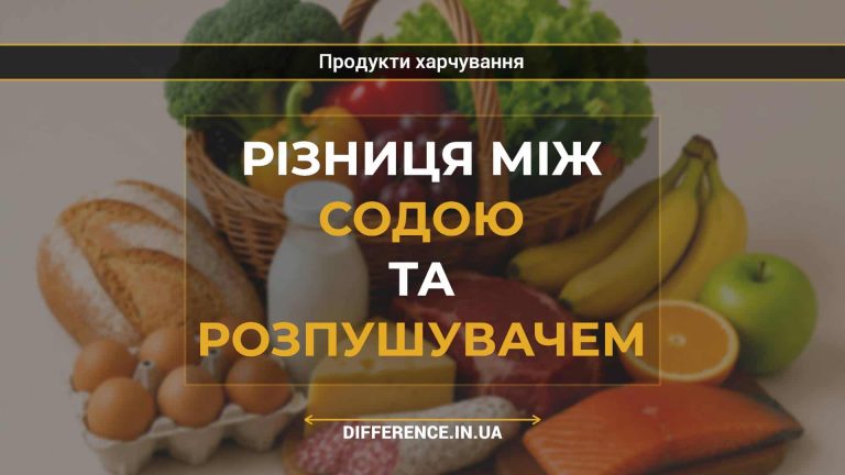 Різниця між содою та розпушувачем