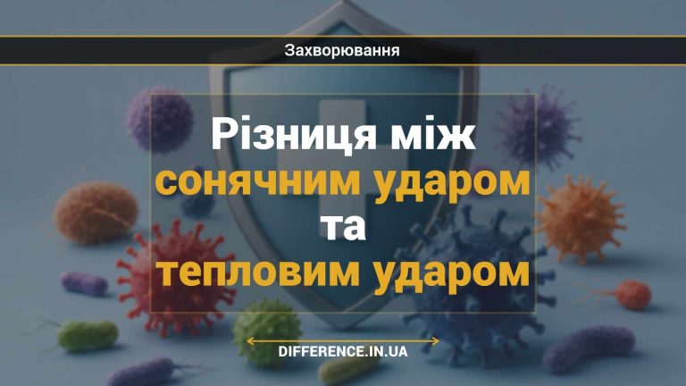 Різниця між сонячним ударом та тепловим ударом