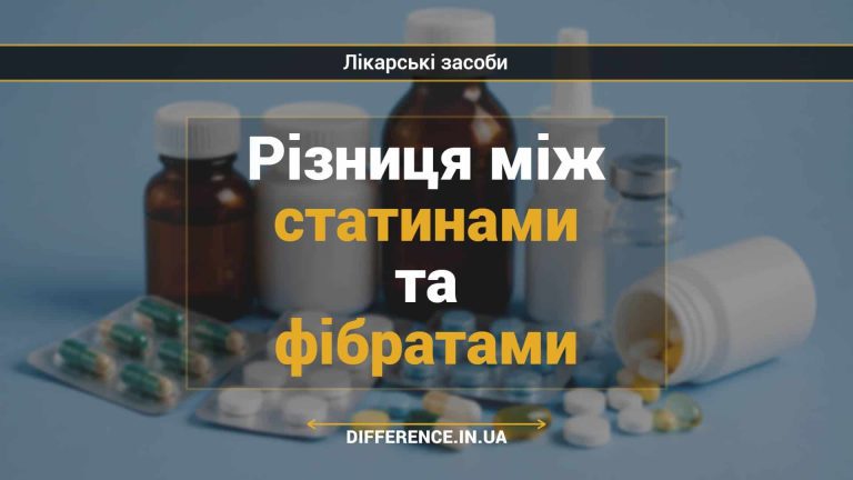 Різниця між статинами та фібратами