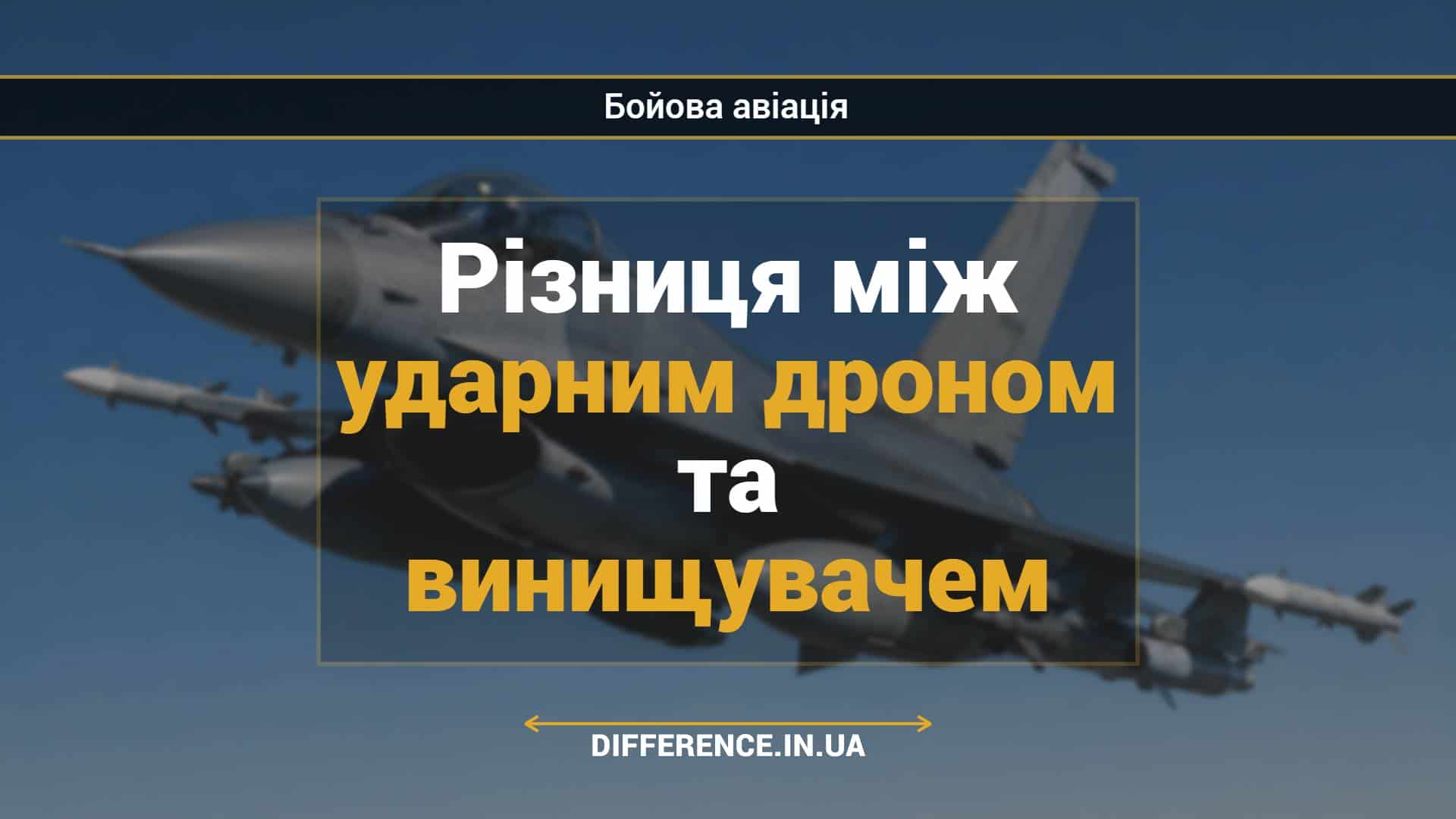 Різниця між ударним дроном та винищувачем