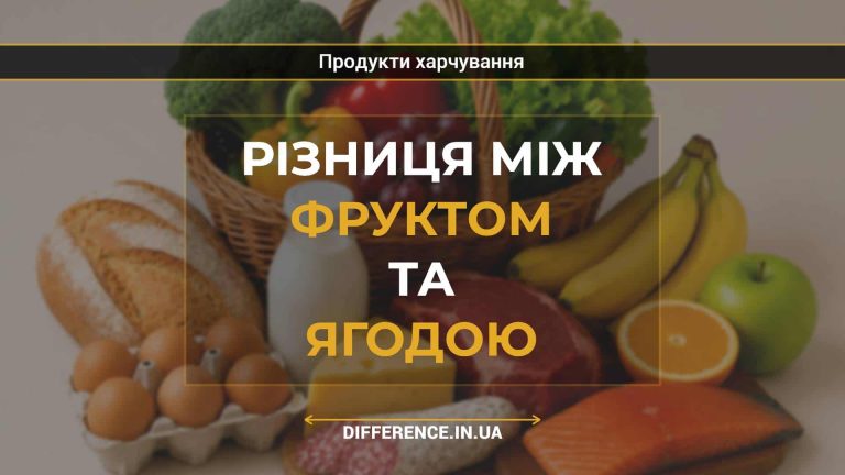 Різниця між фруктом та ягодою
