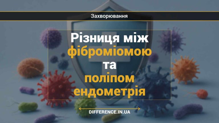Різниця між фіброміомою та поліпом ендометрія