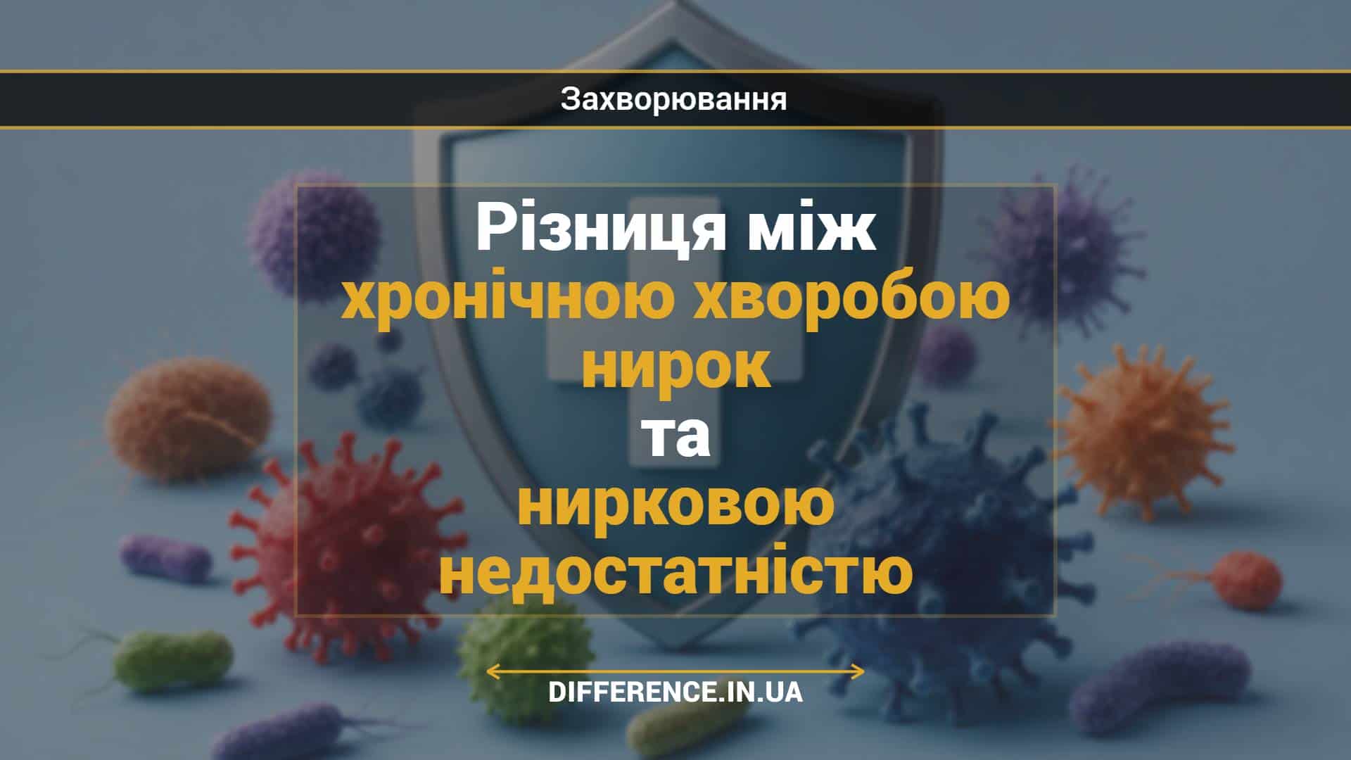 Різниця між хронічною хворобою нирок та нирковою недостатністю