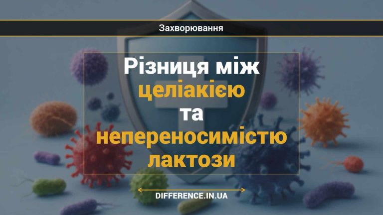 Різниця між целіакією та непереносимістю лактози