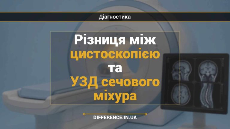 Різниця між цистоскопією та УЗД сечового міхура
