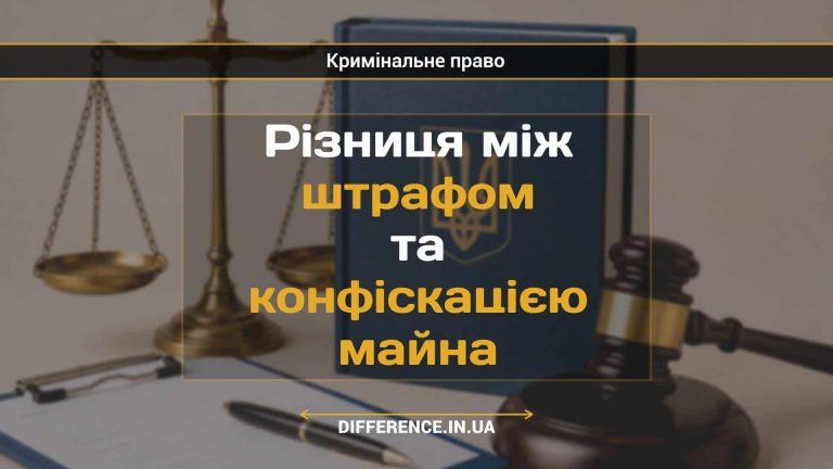 Різниця між штрафом та конфіскацією майна