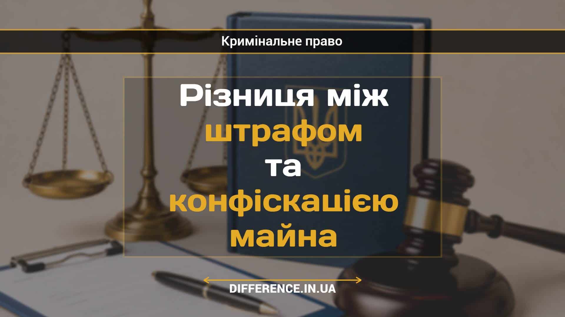 Різниця між штрафом та конфіскацією майна