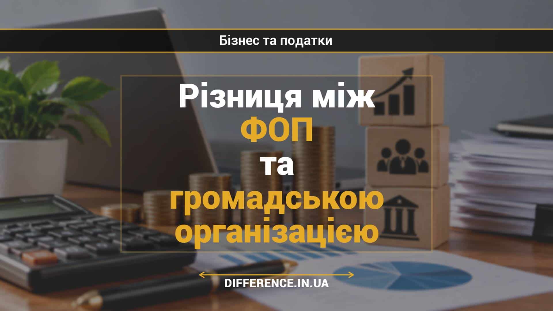 Різниця між ФОП та громадською організацією