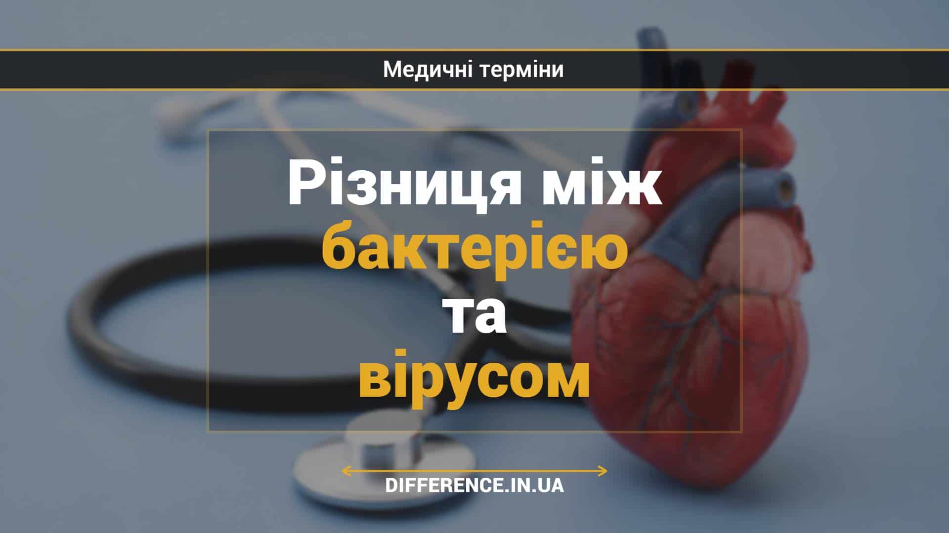 Різниця між бактерією та вірусом