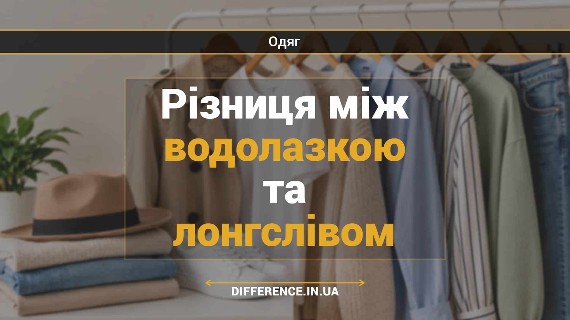 Різниця між водолазкою та лонгслівом