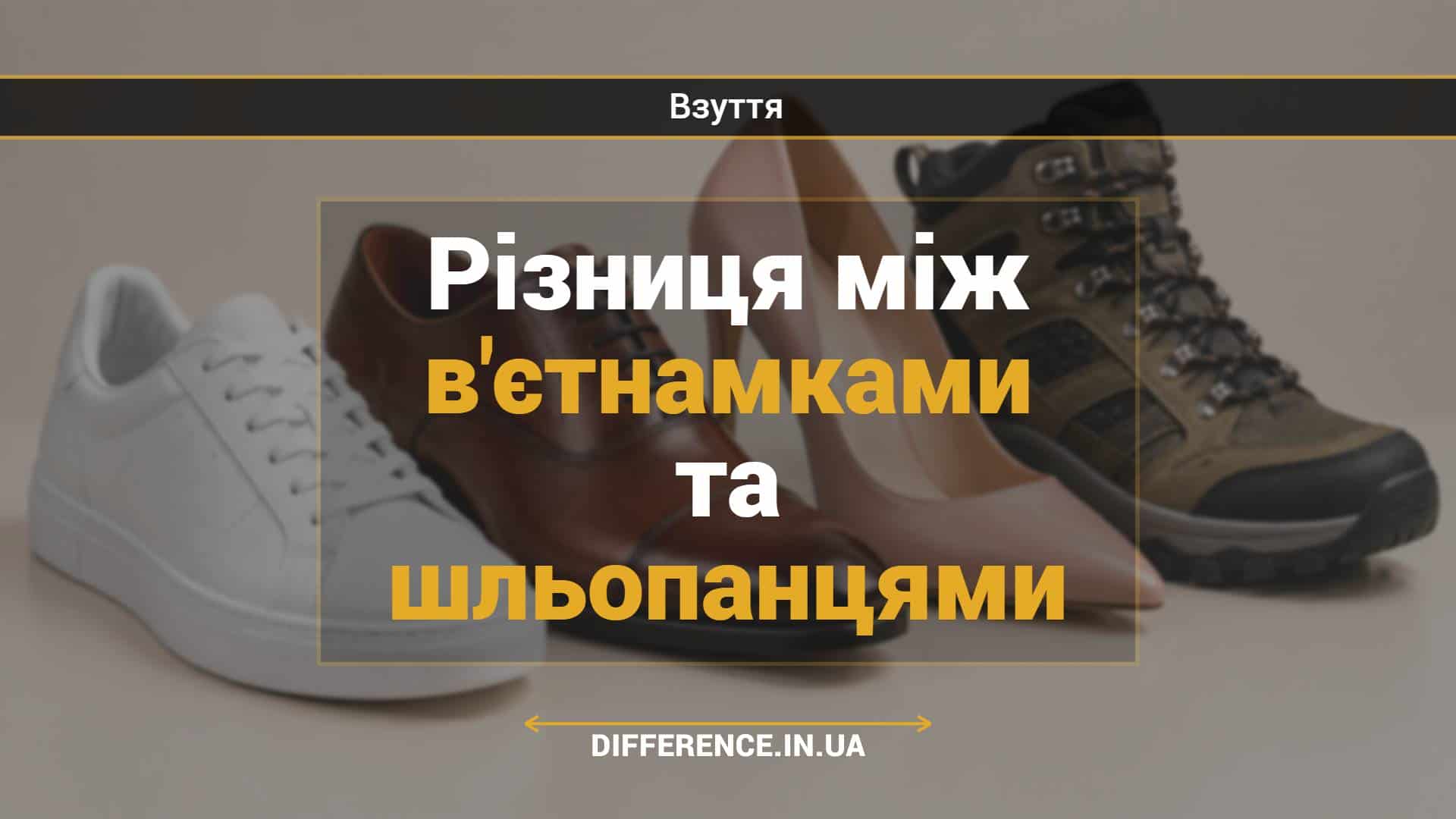 Різниця між в'єтнамками та шльопанцями