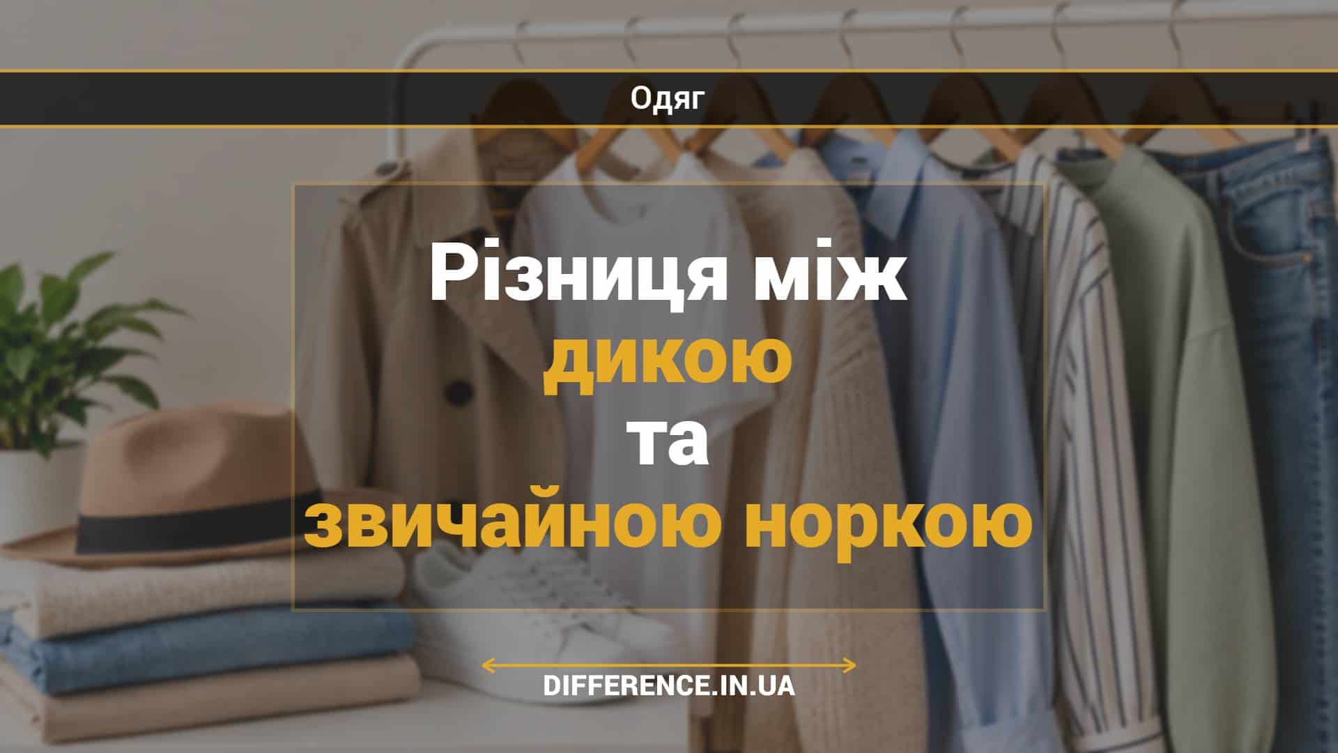 Різниця між дикою та звичайною норкою
