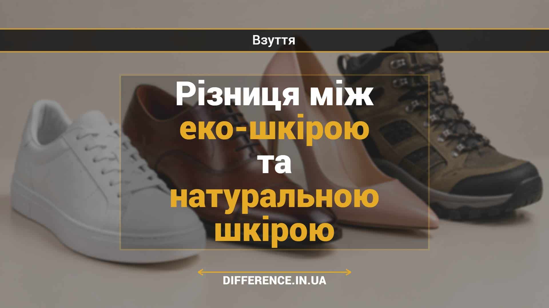 Різниця між еко-шкірою та натуральною шкірою