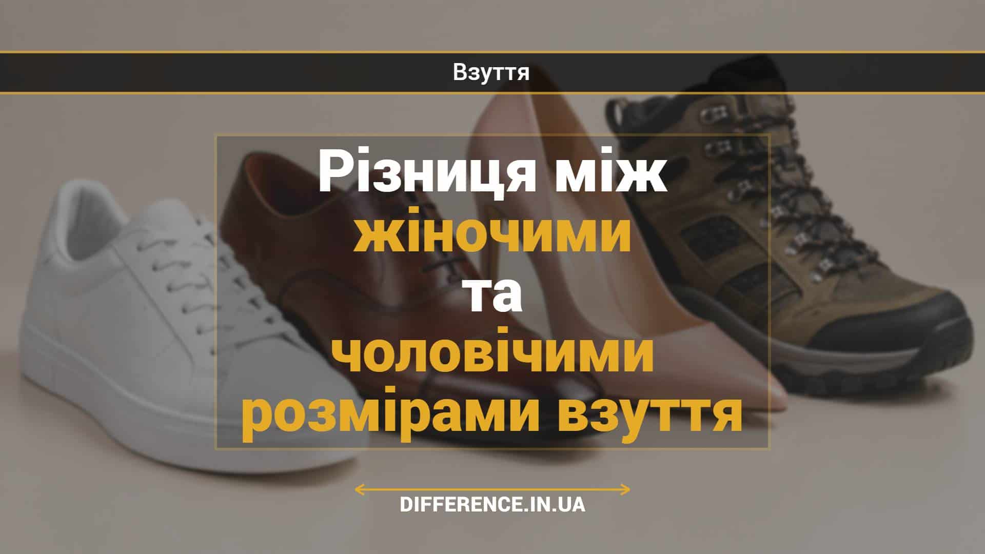 Різниця між жіночими та чоловічими розмірами взуття