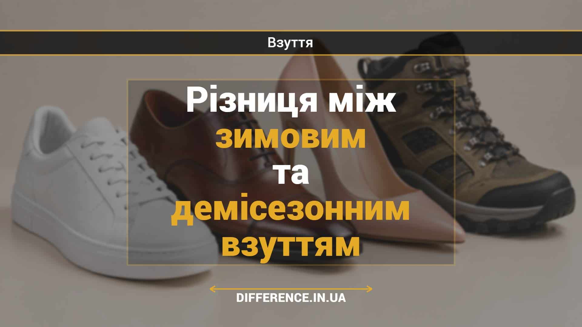 Різниця між зимовим та демісезонним взуттям