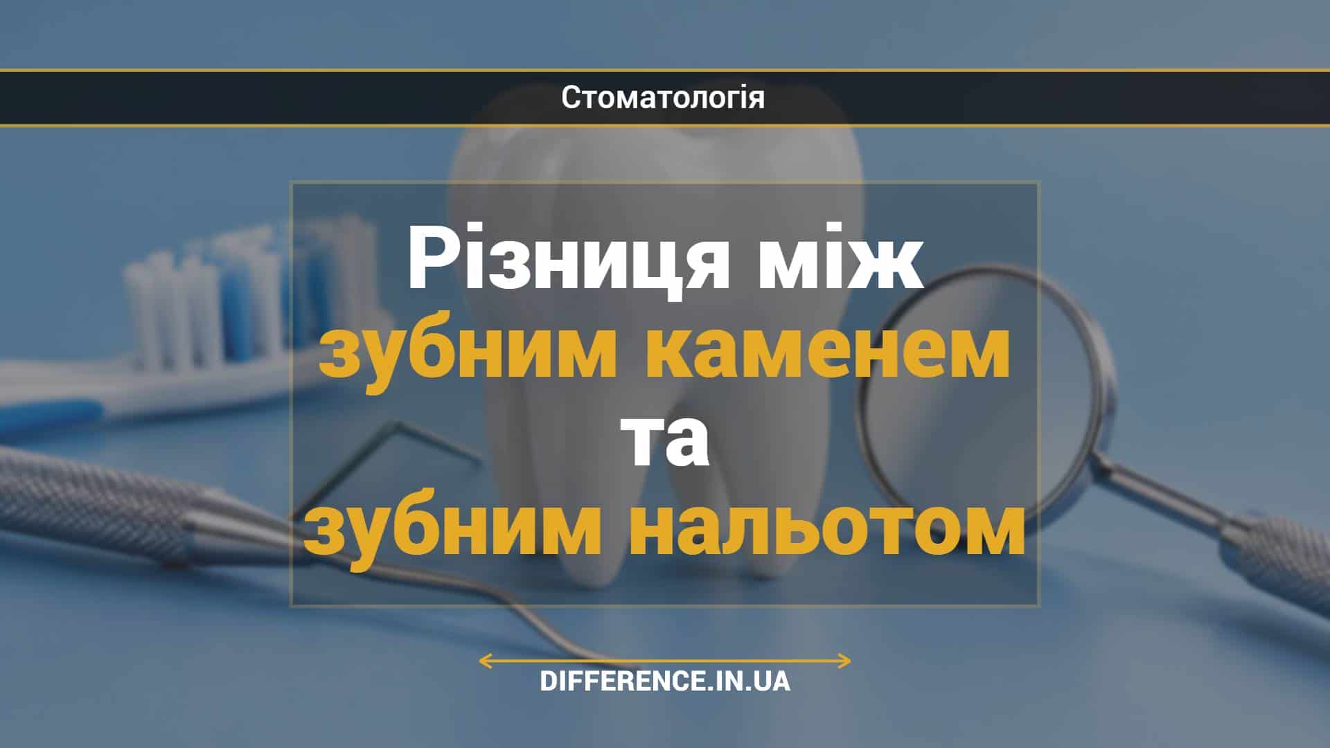 Різниця між зубним каменем та зубним нальотом