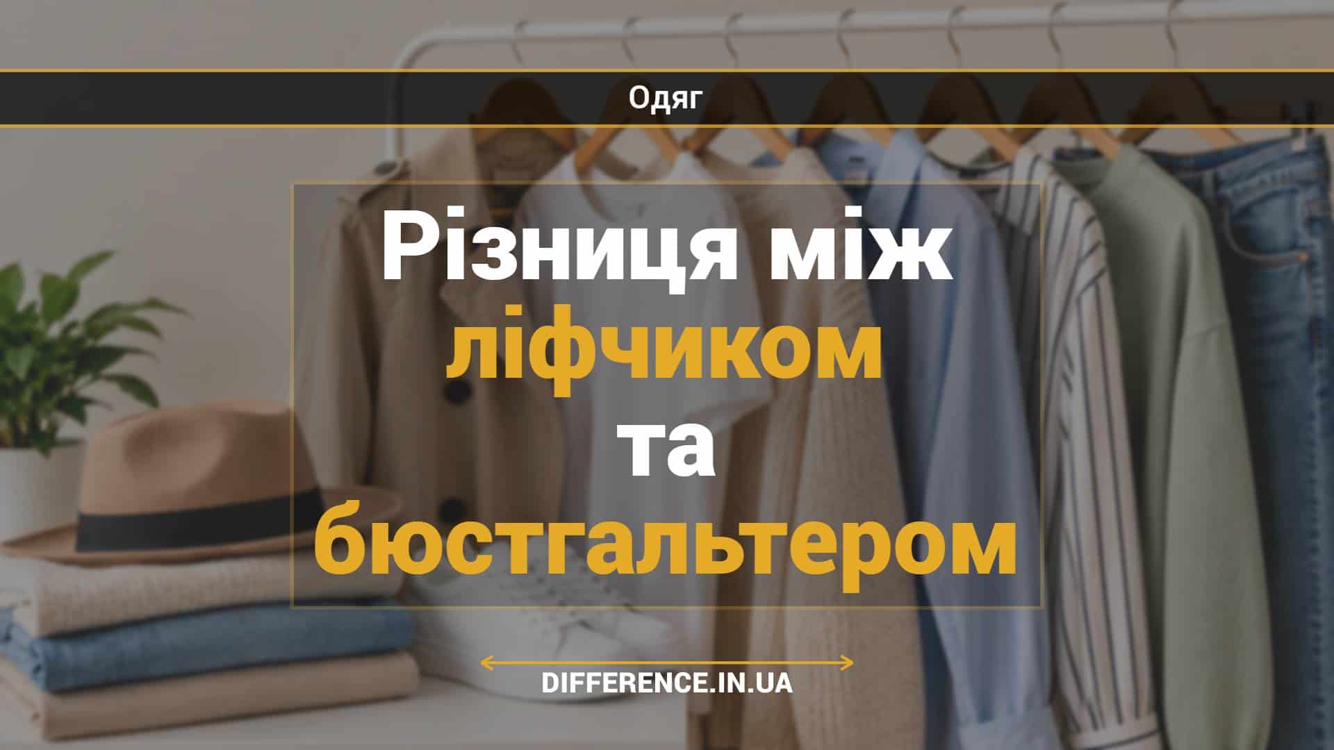 Різниця між ліфчиком та бюстгальтером