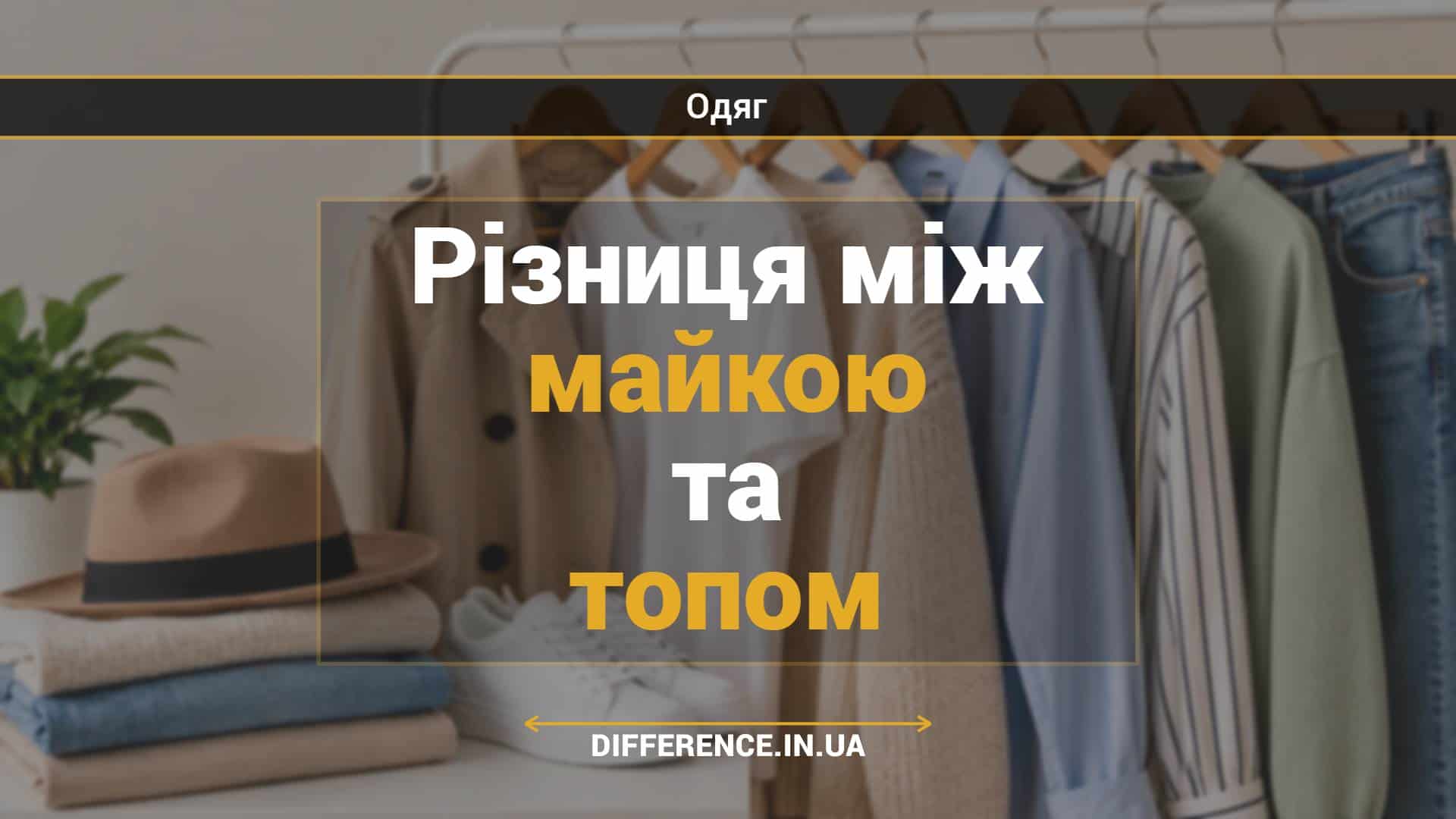 Різниця між майкою та топом