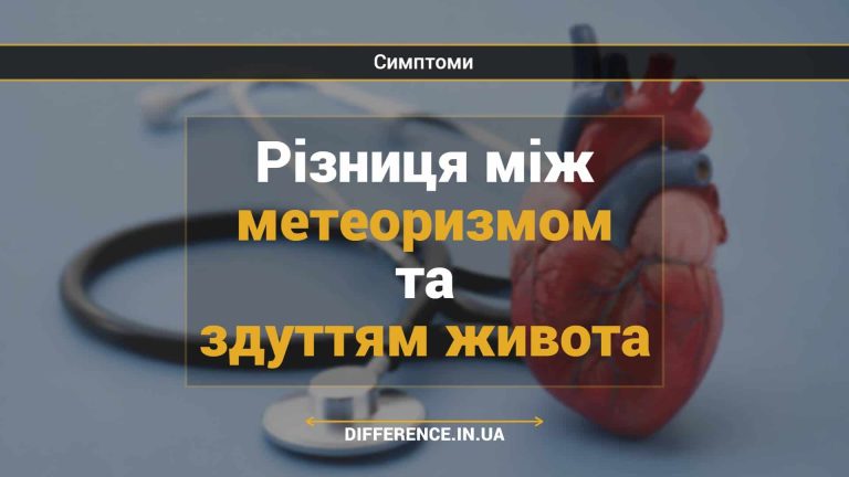 Різниця між метеоризмом та здуттям живота