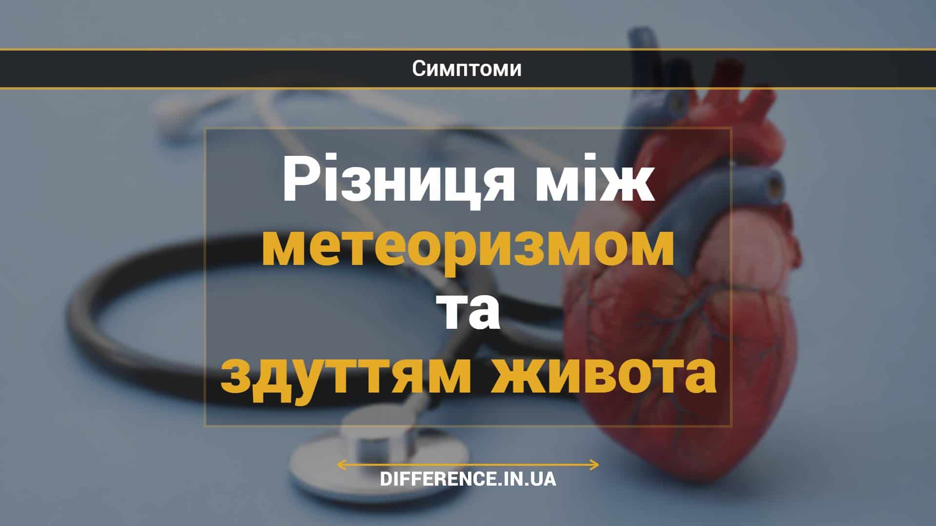 Різниця між метеоризмом та здуттям живота