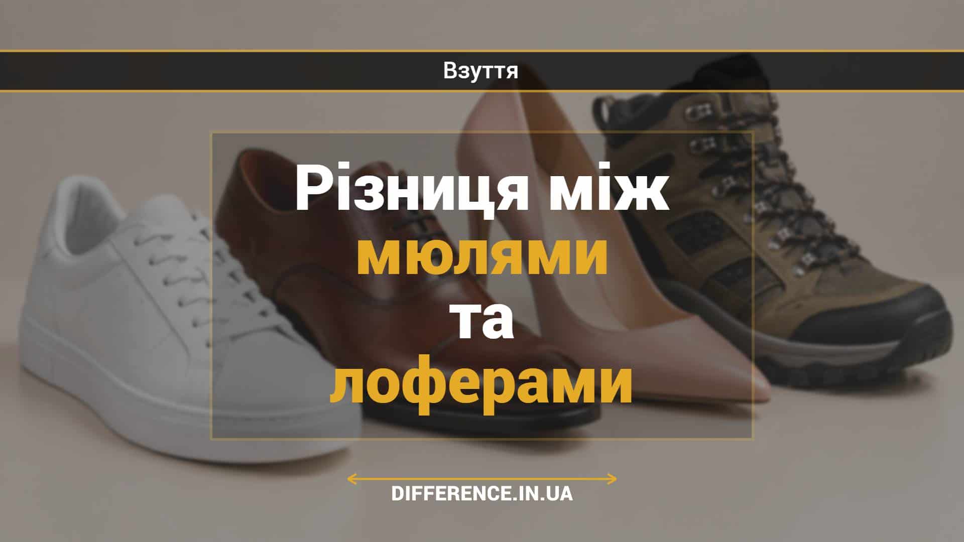 Різниця між мюлями та лоферами