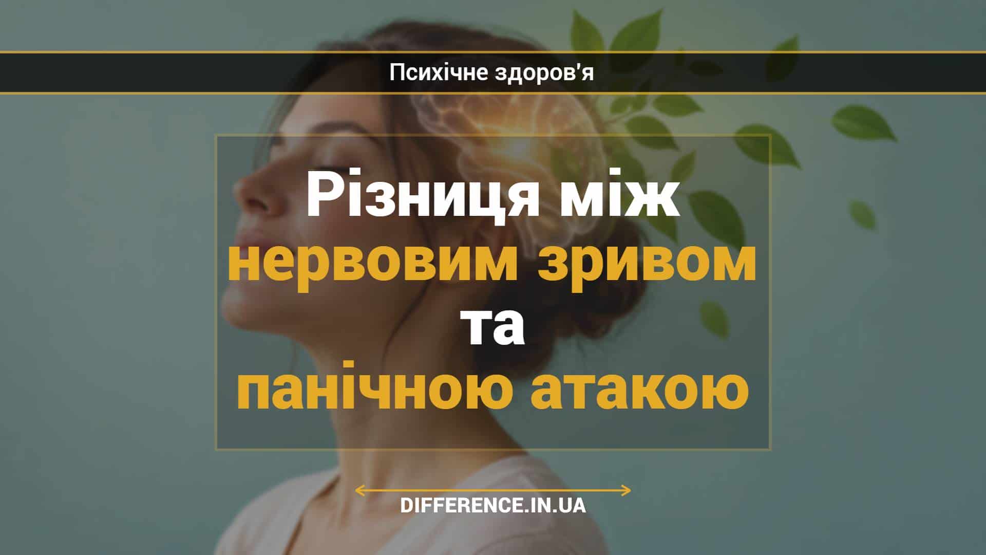 Різниця між нервовим зривом та панічною атакою