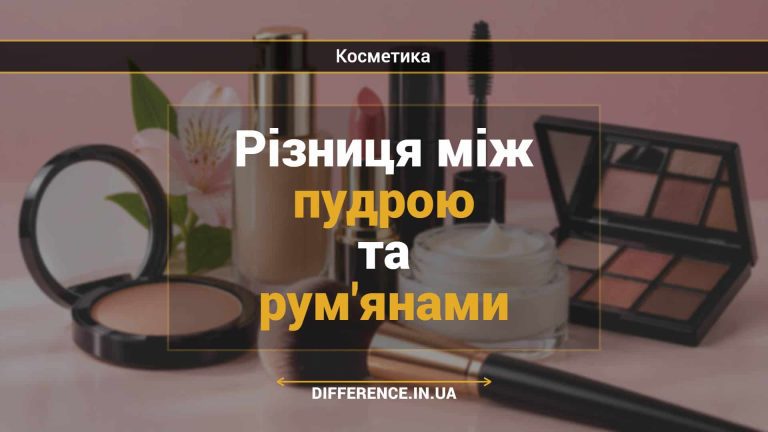 Різниця між пудрою та рум'янами