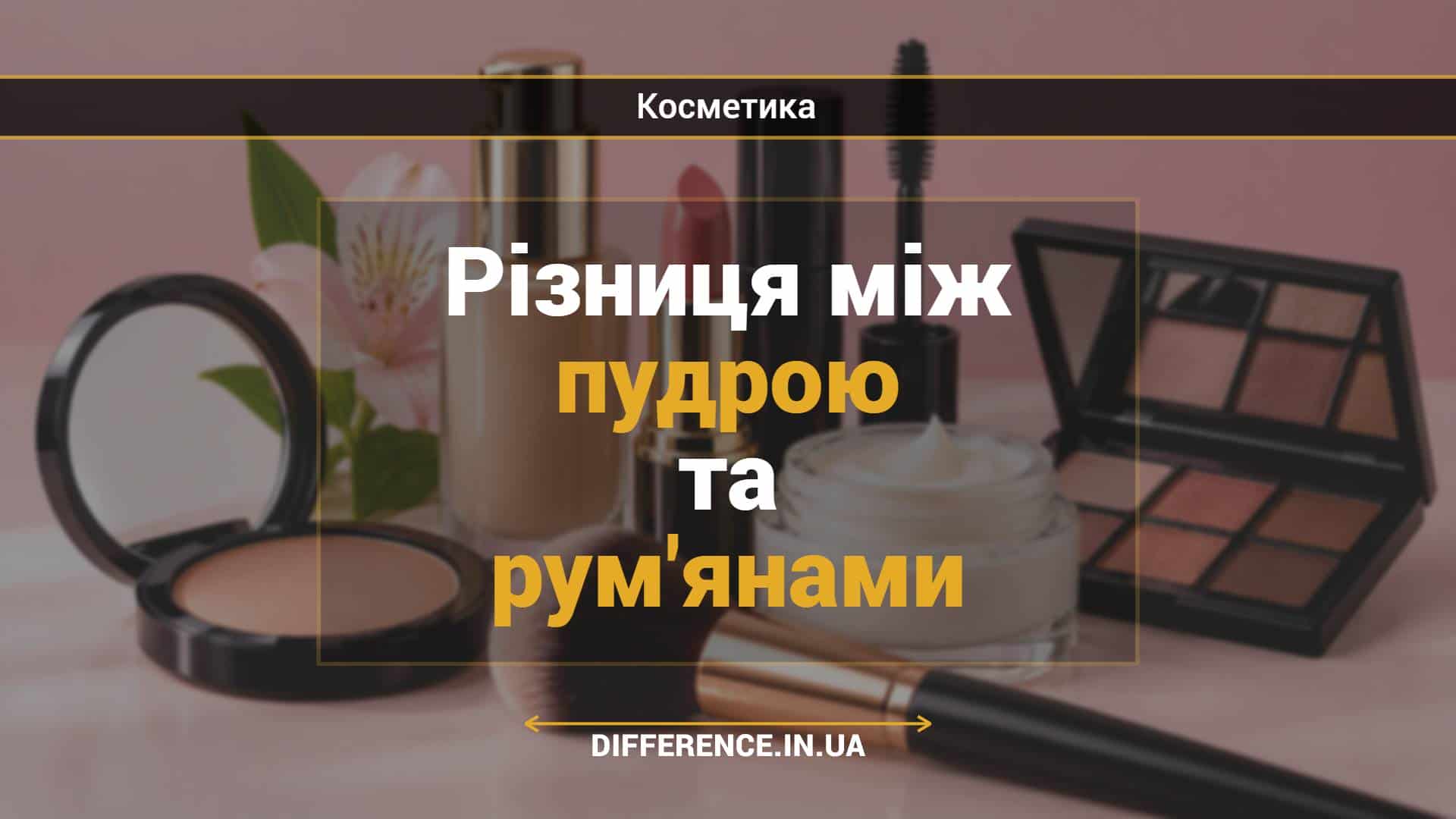 Різниця між пудрою та рум'янами