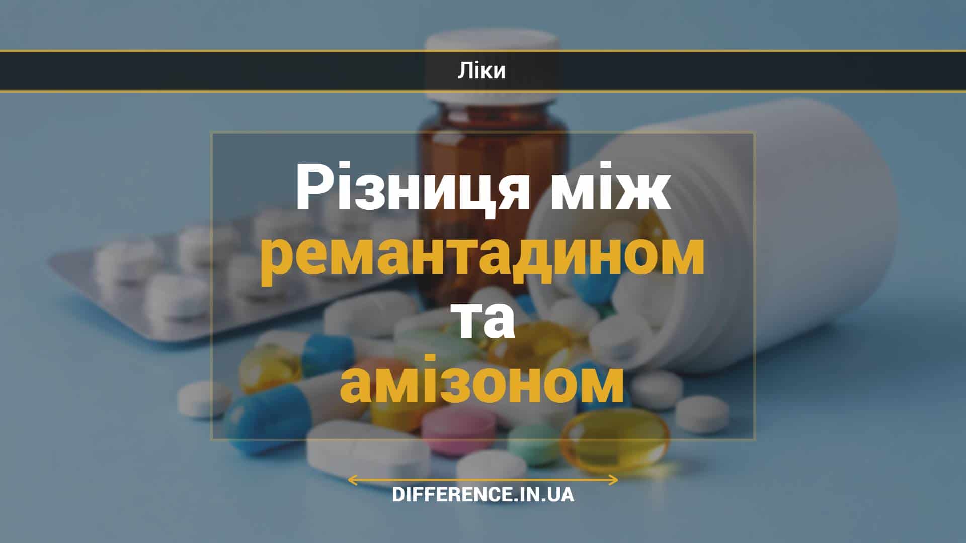 Різниця між ремантадином та амізоном