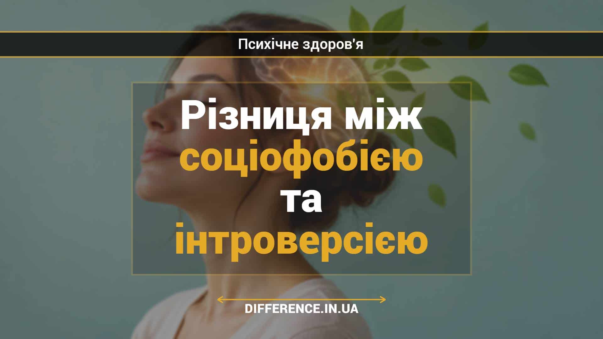 Різниця між соціофобією та інтроверсією