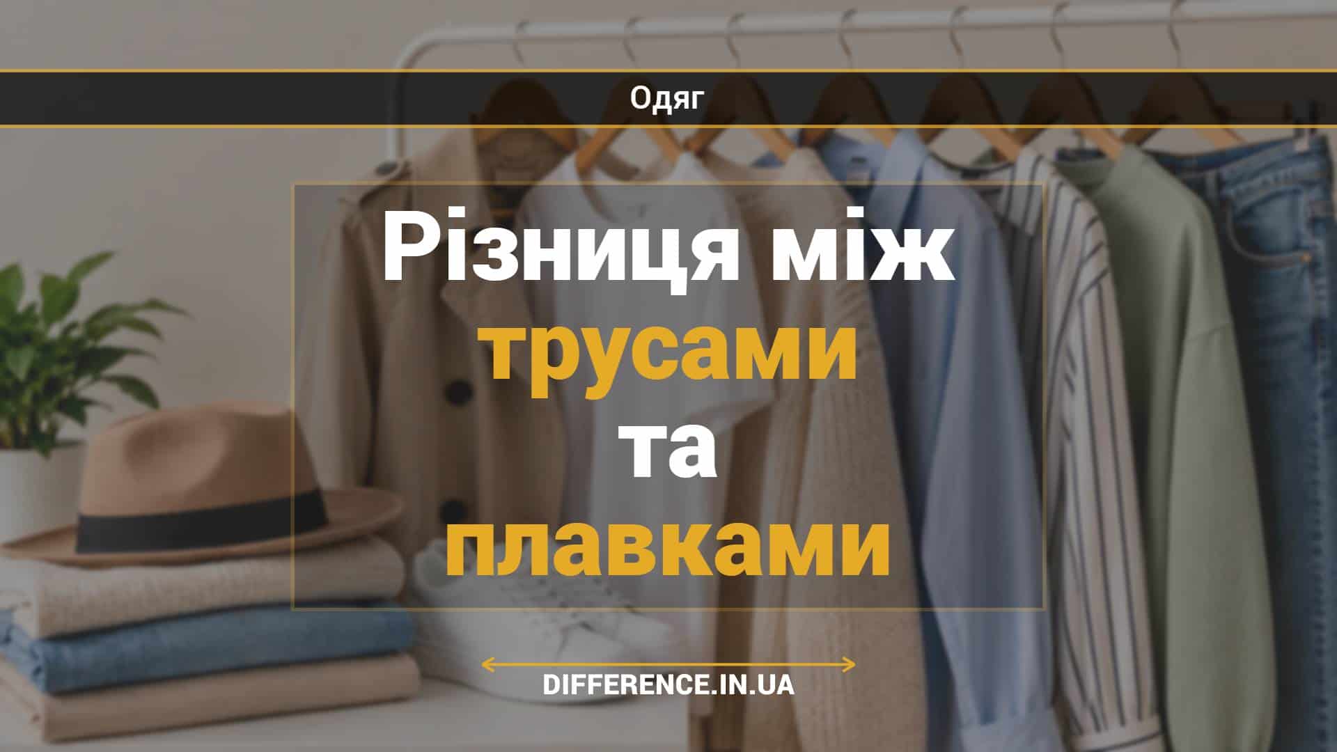 Різниця між трусами та плавками