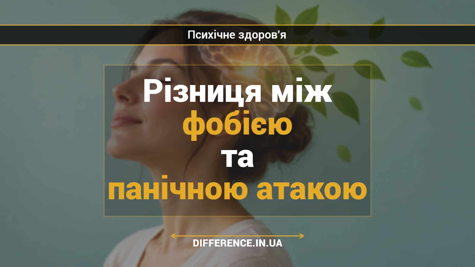 Різниця між фобією та панічною атакою
