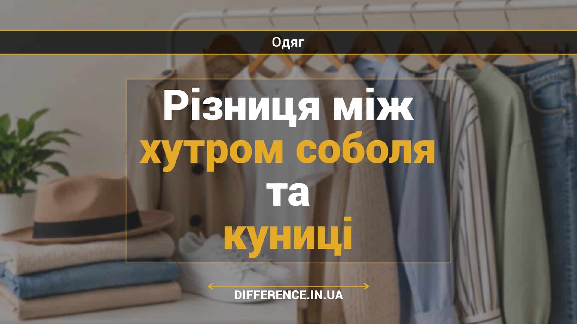 Різниця між хутром соболя та куниці