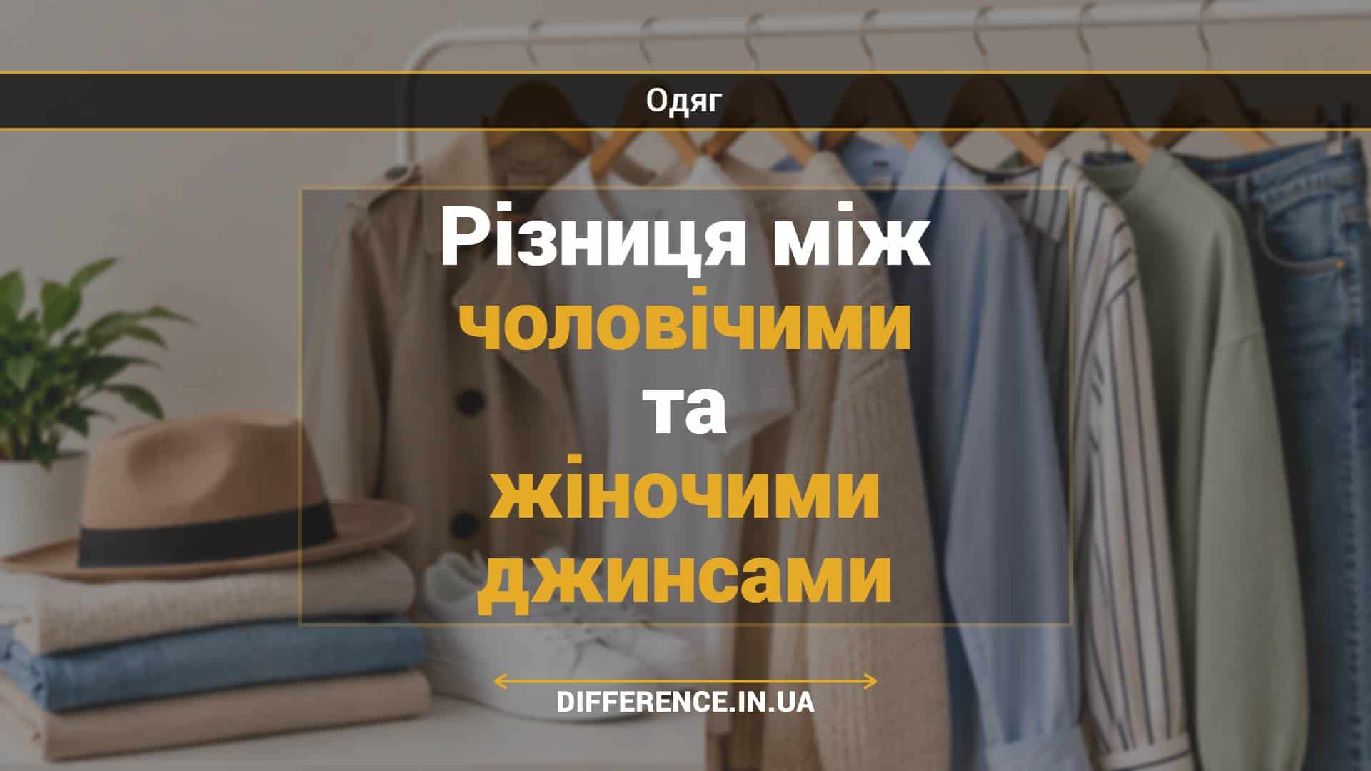 Різниця між чоловічими та жіночими джинсами