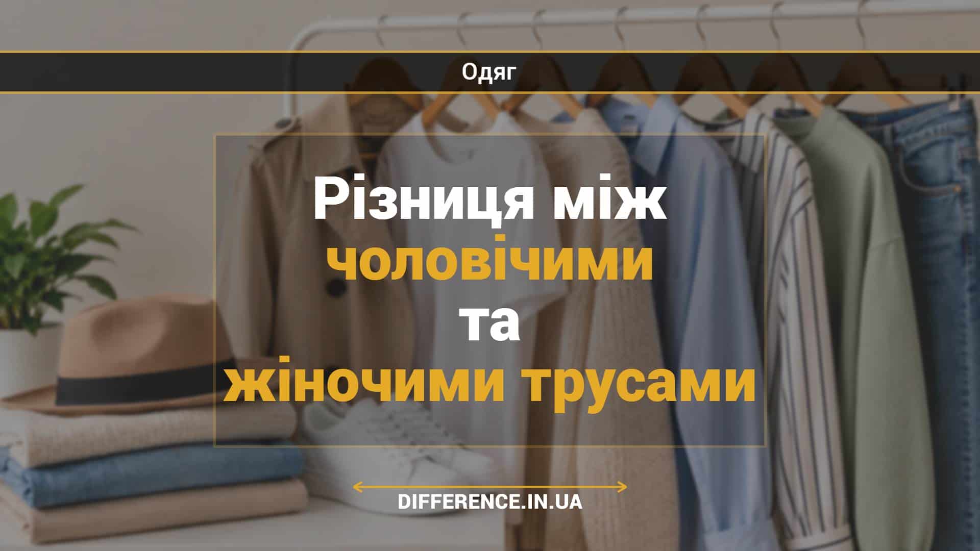 Різниця між чоловічими та жіночими трусами
